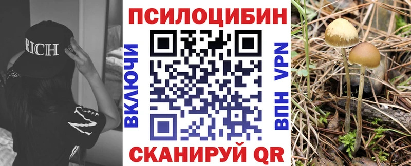 Купить закладки  Лосино-Петровский  Псилоцибиновые грибы Magic Shrooms 